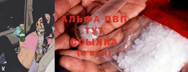 гидра Алексин