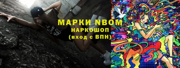 гидра Алексин
