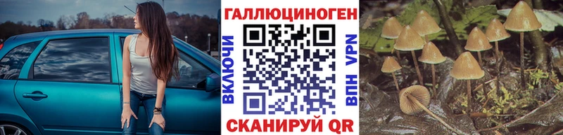 Галлюциногенные грибы прущие грибы  Кемерово 